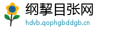 纲挈目张网